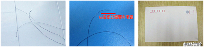 毛发采样 毛发采样